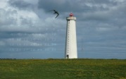 Kalenderbild Mai 2015 - Leuchtturm Garðskagi (IS)