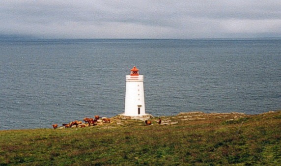 Leuchtturm Vatnsnes