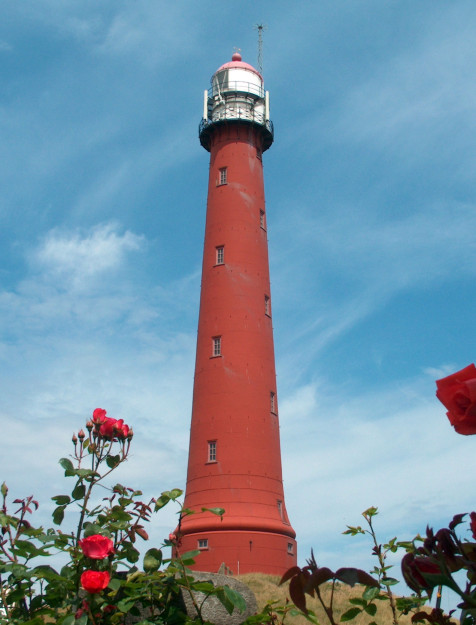 rear light Ijmuiden
