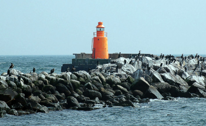 port pier light Skagen
