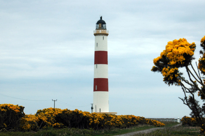 Leuchtturm Tarbat Ness