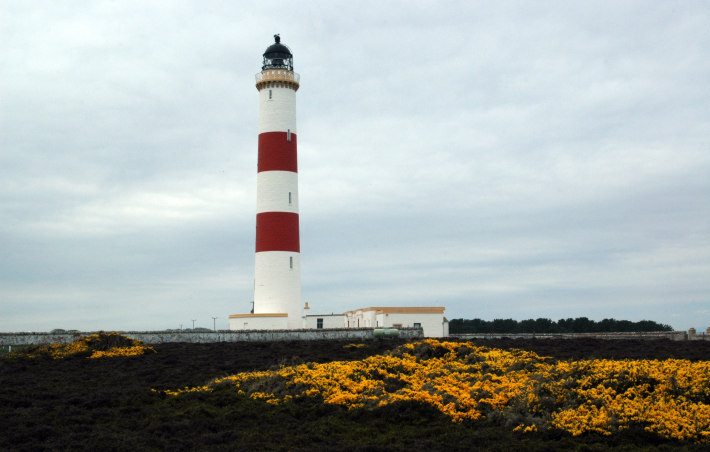 Leuchtturm Tarbat Ness