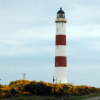 Zum Leuchtturm Tarbat Ness